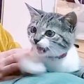 『そりゃ怒るｗ』理…