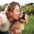 犬の寿命が縮む『飼…
