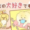 ただの犬好きです。…