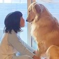 朝、女の子と大型犬…
