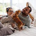 犬が飼い主に伝えた…