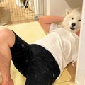 『奇跡の1枚』犬が飼…