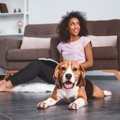 犬が『飼い主を守る…