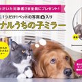 世界に1つだけ！ペッ…