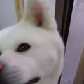 恐怖とは無縁？雷が…