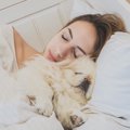 犬が腕枕を好む本当…