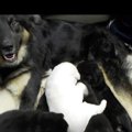 足が曲がって癒着し…