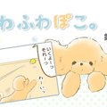 ふわふわぽこ。【第1…