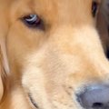 『ちょっと口の中、…