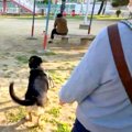 朝、犬の散歩中『い…