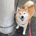 【話題】後光が差し…