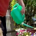 おばあちゃんがお花…