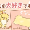 ただの犬好きです。…