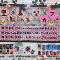 犬カフェでわんちゃ…