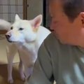おじいちゃんに『早…