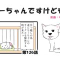 ちーちゃんですけど…