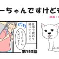 ちーちゃんですけど…