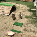 DIYのラン付きカフェ…