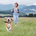 犬は散歩だけしてい…