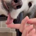 普段はイケメンなハ…