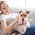 犬が飼い主にくっつ…