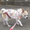小さい子は寒がりな…