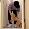 犬が6日ぶりに飼い主…