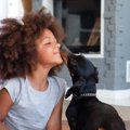 犬が飼い主にキスを…