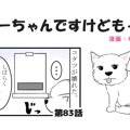ちーちゃんですけど…