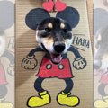 【萌え】暇すぎて顔…
