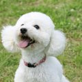 愛嬌たっぷり♡人懐っ…