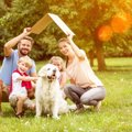 犬にとっての心地よ…