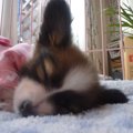うちの子に、こんな…