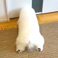 2日間、家に帰ってこ…