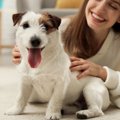 愛犬に感謝を伝える…
