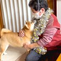 犬が『おばあちゃん…