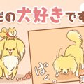ただの犬好きです。…