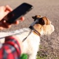 あなたがスマホを見…