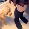 朝、学校に行こうと…