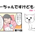 ちーちゃんですけど…