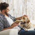 犬にとってのリーダ…