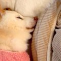 15歳になり、不安を…