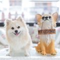 知らない人が多い！…