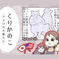 くりかのこ　アメリ…