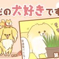 ただの犬好きです。…