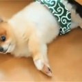 ふわぁ〜。ん？もう…