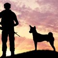 忘れ去られた犬の特…