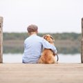犬との関係性が崩れ…