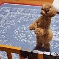 入院のため、2週間も…