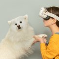 研究用VRに登場する…